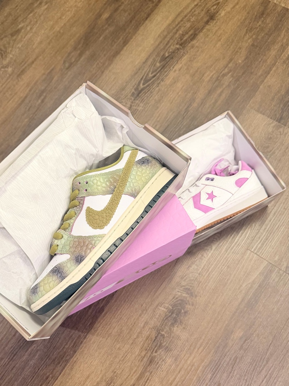 Alexis Sablone x Nike SB x Converse Chameleon Pack